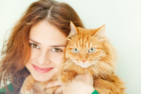 7 Purr-fect Switchplates for Cat Lovers