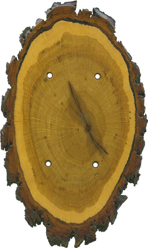 Oak Slice - GFCI Rocker/Duplex Outlet Wall Plates