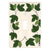 1 Toggle - 3.50" w * 5.00" h