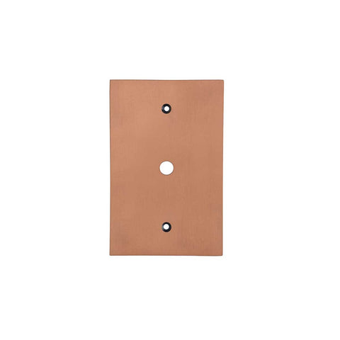 Modern Antique Wall Plates with Copper Finish