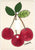 1 Toggle - 3.50" w * 5.00" h