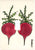 1 Toggle - 3.50" w * 5.00" h
